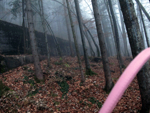 Berchtesgaden,Obersalzberg 2001